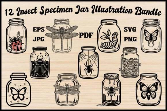 12 Insect Specimen Jar Illustration Set