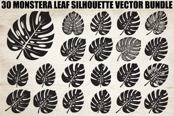 Unlocking Tropical Creativity: The Ultimate Guide to the Monstera Leaf Silhouette Bundle